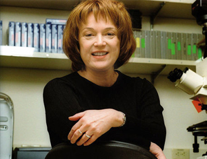 ddos在线攻击工具